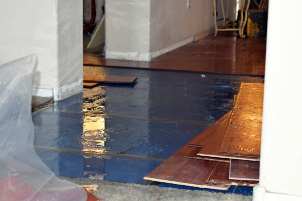 Professional Water Damage Restoration technician working in Buena, WA